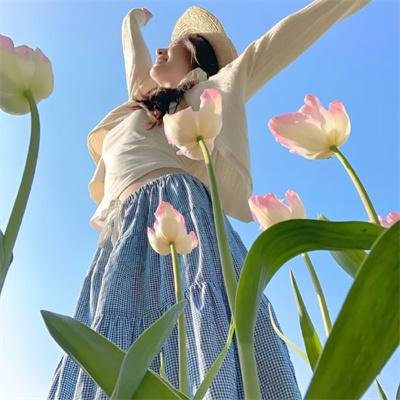 红野菊